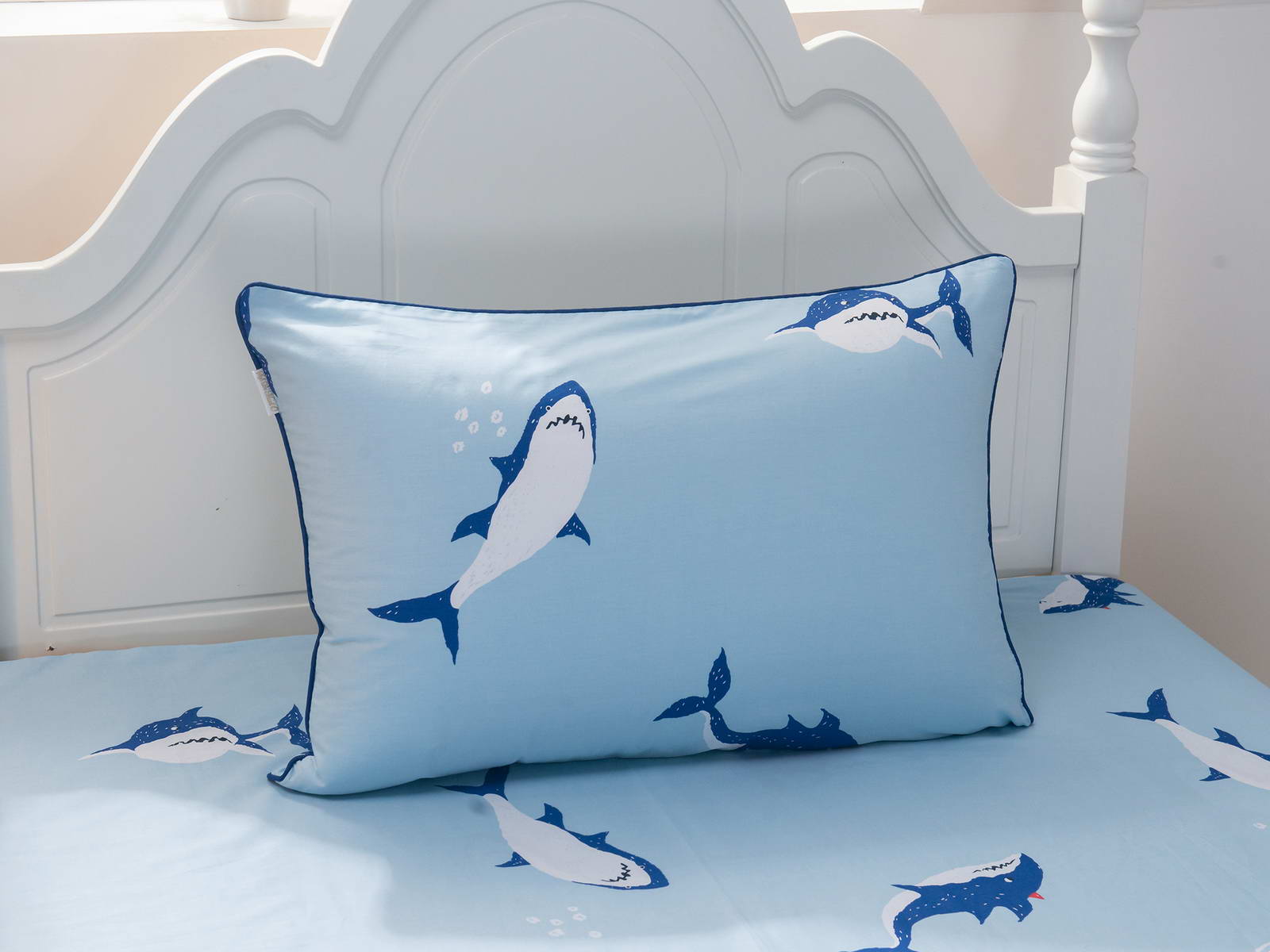 5e52afb514c279cb2aee964895f53e8e