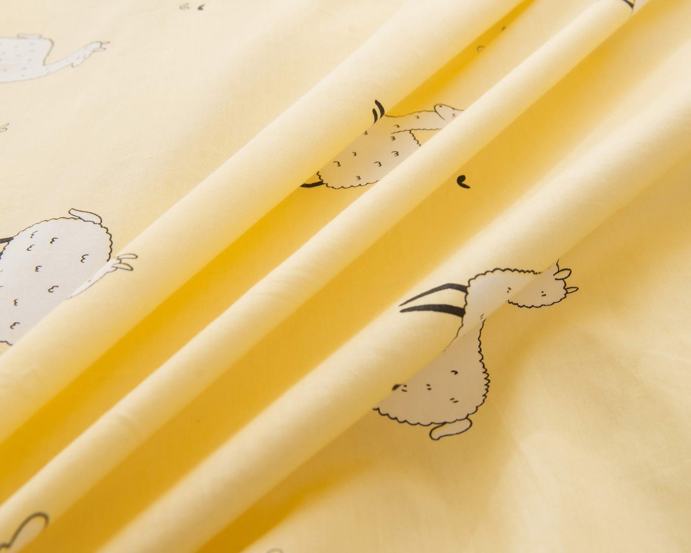 cbbfddr1w11kz0c23p4deynmwbwtyol7